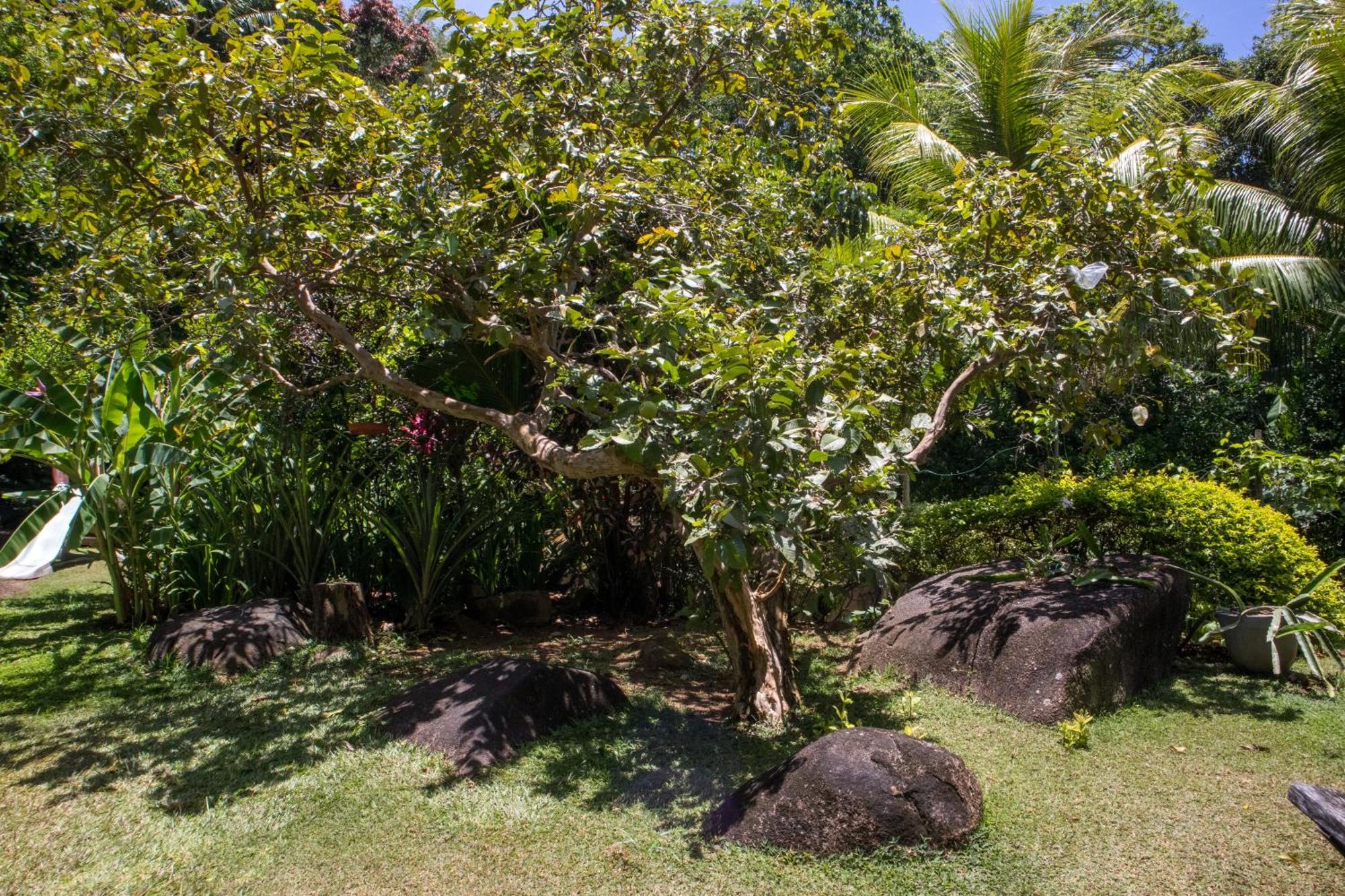 Domaine Desaubin Luxury Villas Takamaka Eksteriør billede