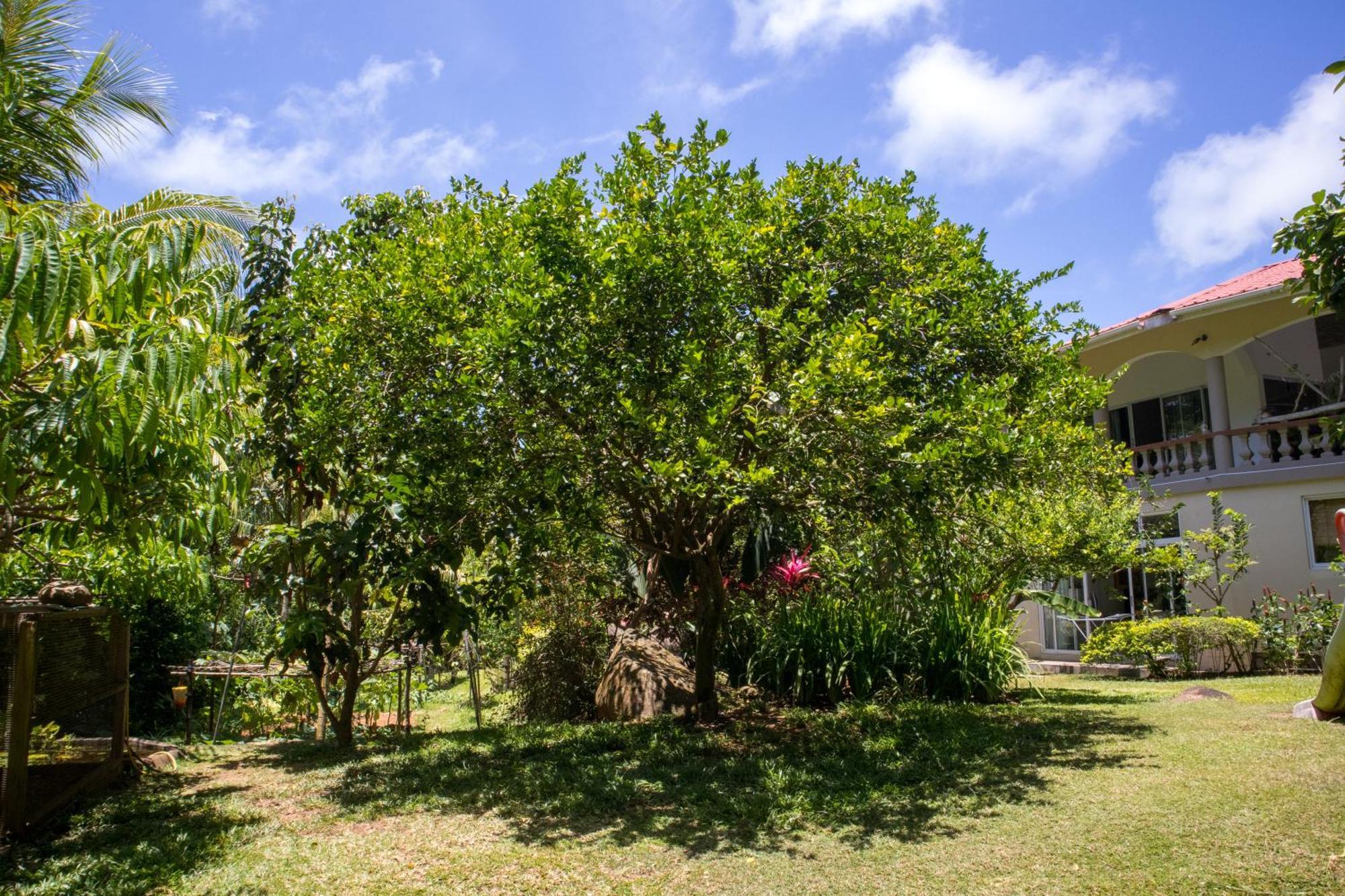 Domaine Desaubin Luxury Villas Takamaka Eksteriør billede